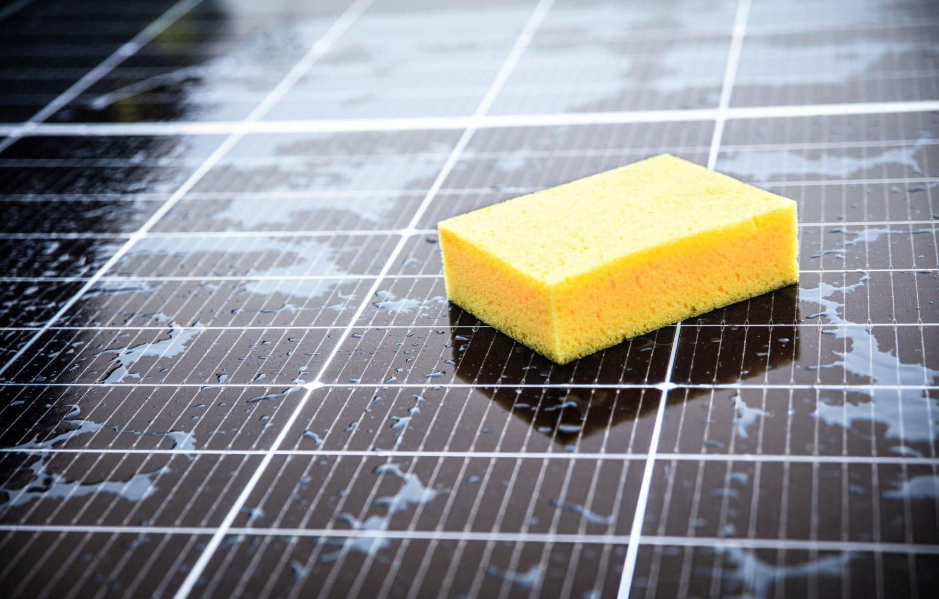 reinigung einer Solarplatte