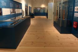 Heimische Douglasie mit Nut und Feder, raumlange Massivdielen, Schlossdielen, 25 mm Stärke, in den Breiten (Federmaß) 210 mm und 260 mm, vorgeschliffen in den Längen 3,0 m bis 5,0 m