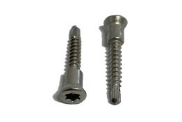 Fassadenschraube für Resysta Fassadenplatten, Systemschrauben mit Gleitfunktion und Bohrspitze, 3,9 x 13 mm, Edelstahl A2 / Antrieb TX 20 (250 St. je PE)