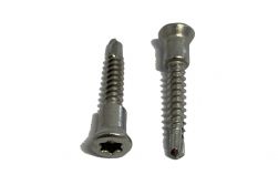 Fassadenschraube für Resysta Fassadenplatten, Systemschrauben mit Gleitfunktion und Bohrspitze, 3,9 x 13 mm, Edelstahl A2 / Antrieb TX 20 (250 St. je PE)