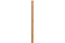 Douglasie Pfosten 9 x 9 x 100 cm (Serie: Doben / Pöhl)