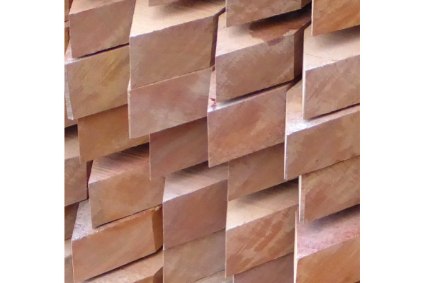 Bongossi Pfähle 80 x 80 mm, sägerau angespitzt, 2,00 m lang
