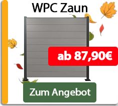 Zaun