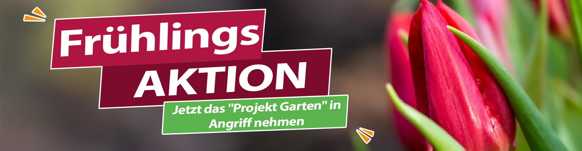 Frühling-Aktion