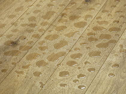 Krono Xonic Image 1 Krono Xonic Image 1